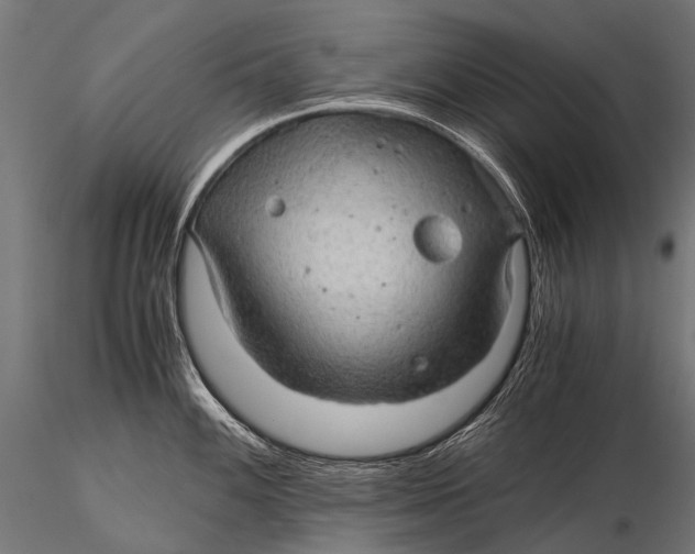 X0000116001100200912101311