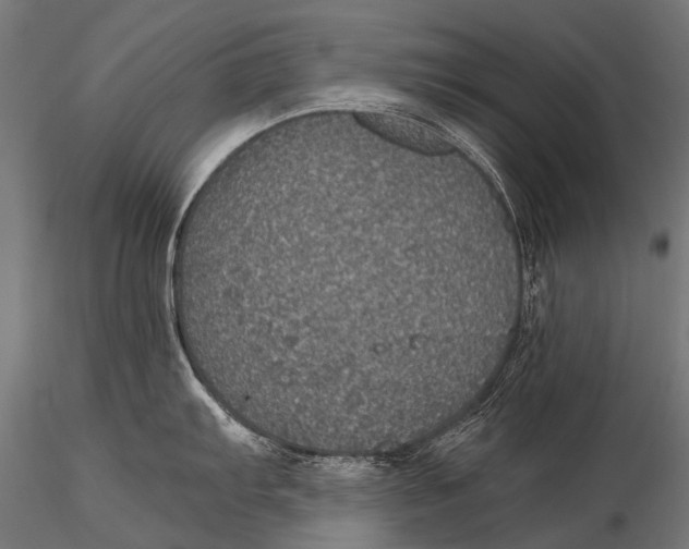 X0000116001103200912101311