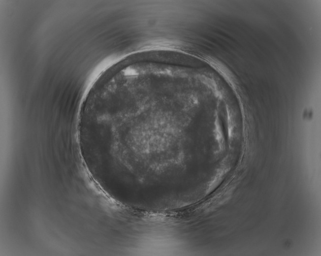 X0000116001104200912101311