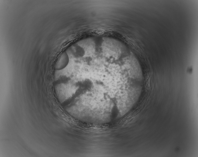 X0000116001105200912101310