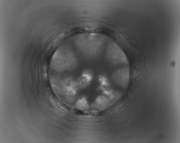 X0000116001106200912101310