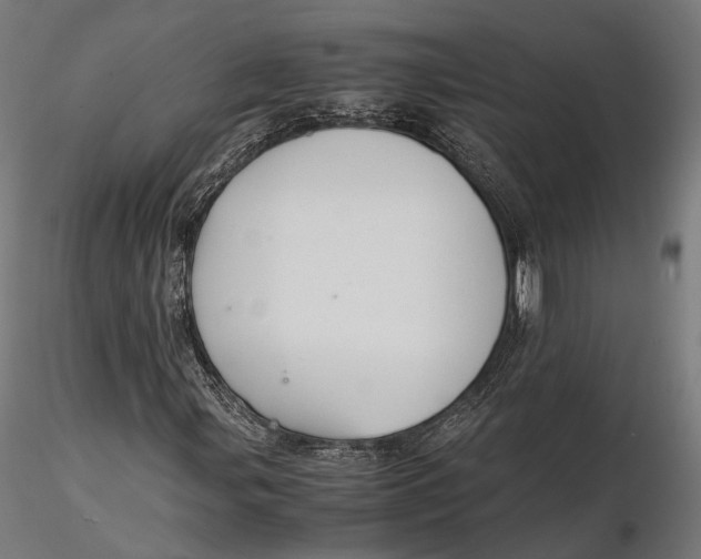 X0000116001107200912101310