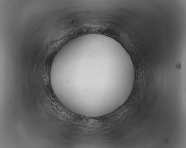 X0000116001109200912101310