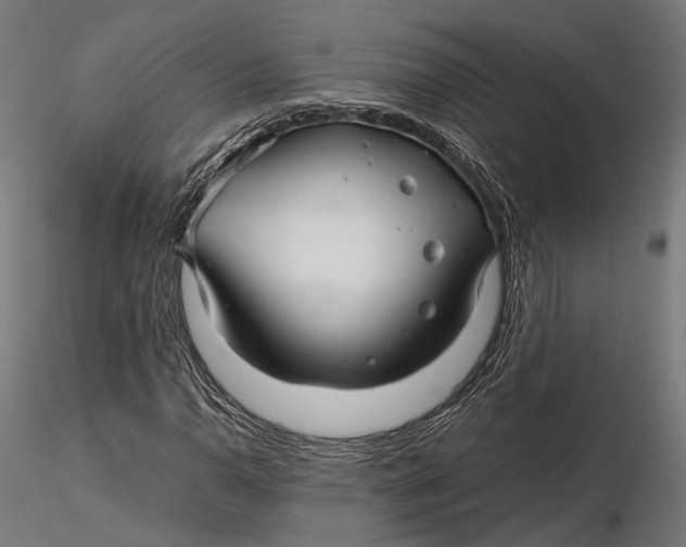 X0000116001110200912101310