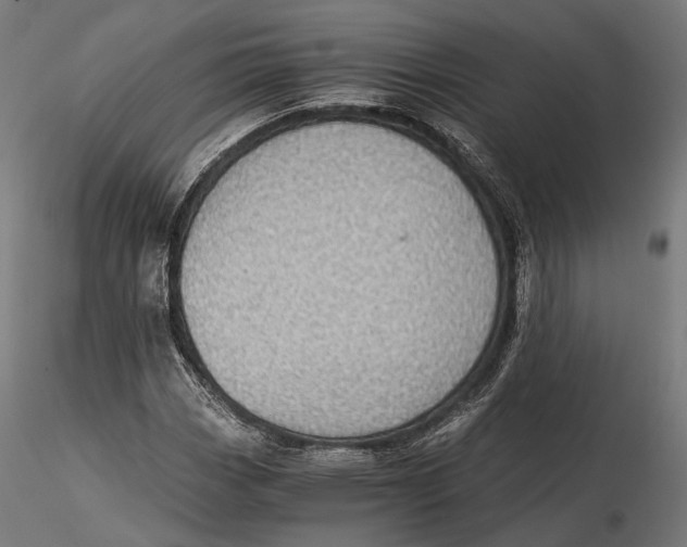 X0000116001113200912101310