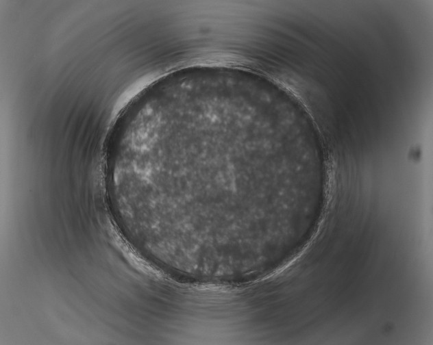 X0000116001114200912101310