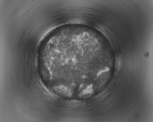 X0000116001115200912101310