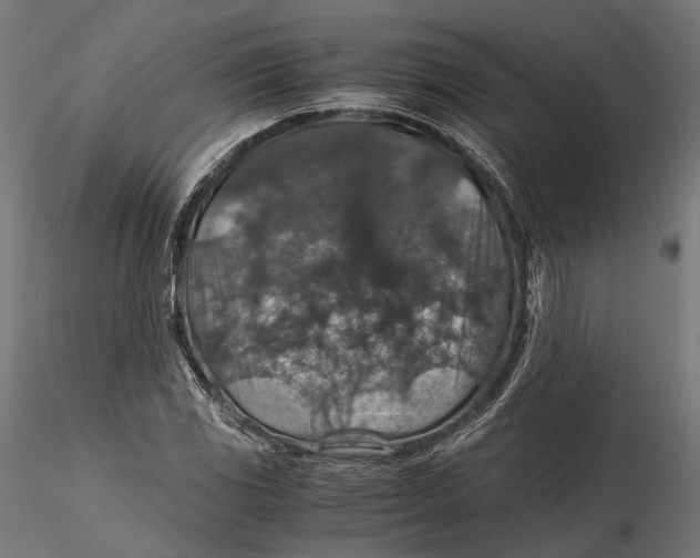 X0000116001117200912101310