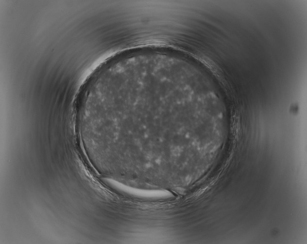 X0000116001118200912101310