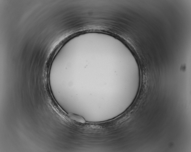 X0000116001119200912101310