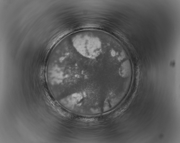 X0000116001121200912101310