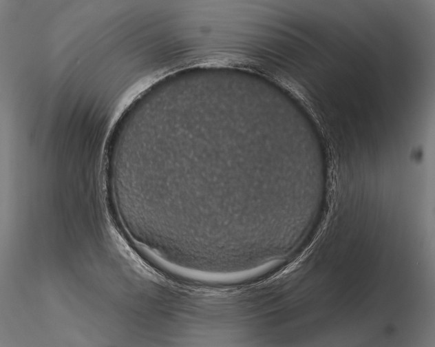 X0000116001122200912101310