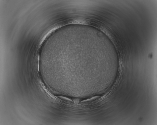 X0000116001123200912101310