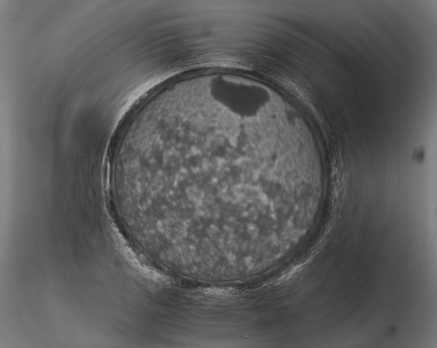 X0000116001125200912101310