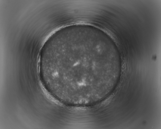 X0000116001126200912101310