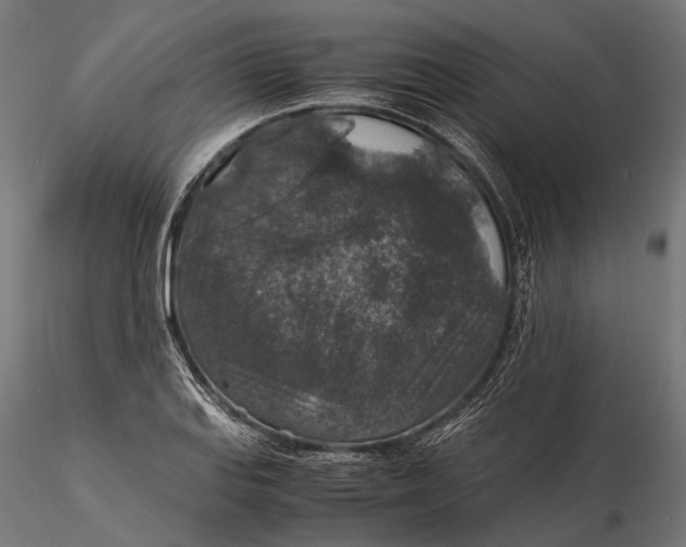 X0000116001127200912101310