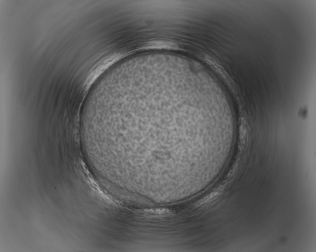 X0000116001129200912101310