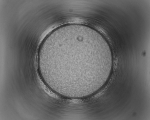 X0000116001130200912101310