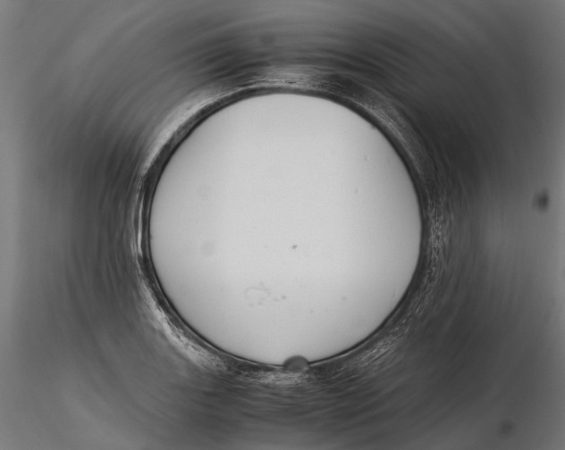 X0000116001131200912101310