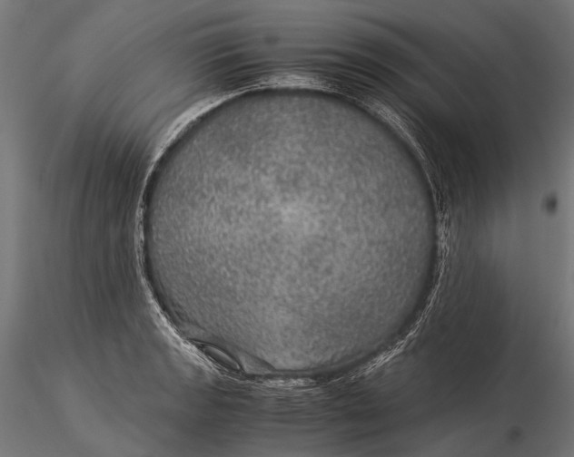 X0000116001133200912101310