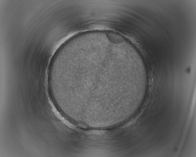 X0000116001134200912101310