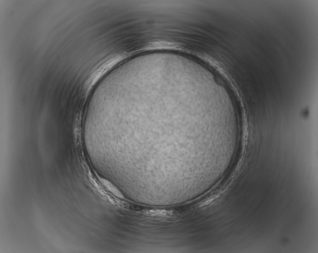 X0000116001137200912101310