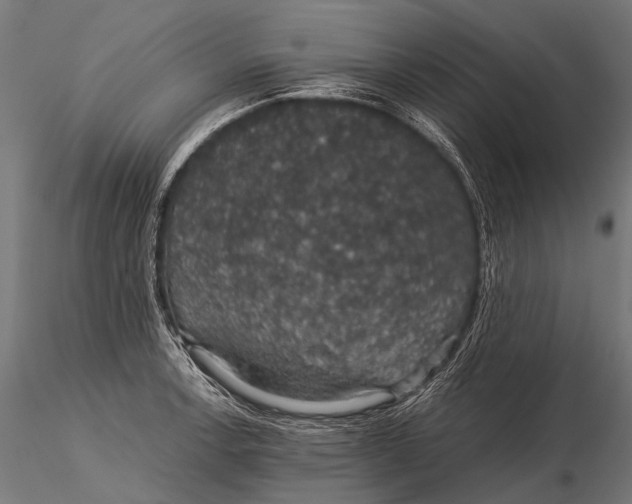 X0000116001138200912101311