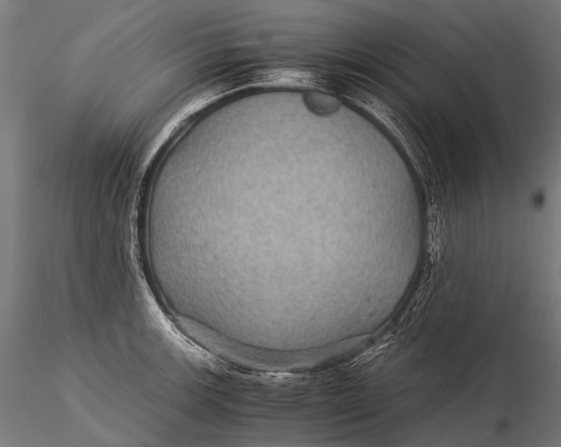 X0000116001139200912101311