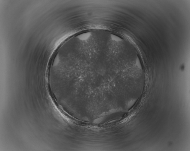 X0000116001141200912101311