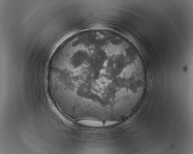 X0000116001142200912101311