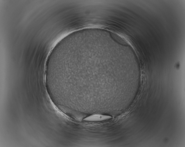 X0000116001143200912101311