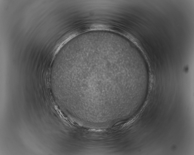 X0000116001145200912101311