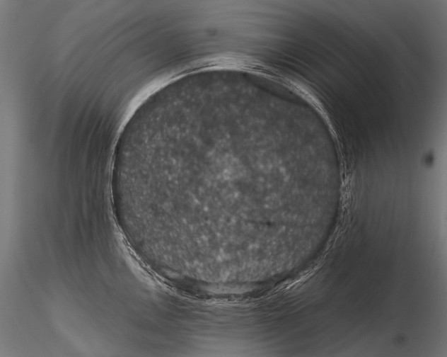 X0000116001146200912101311