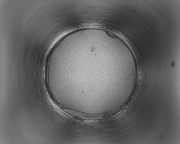 X0000116001147200912101311