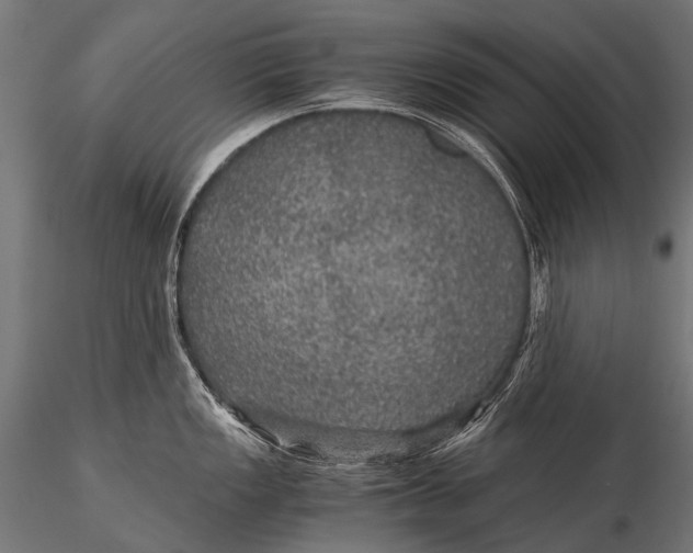 X0000116001149200912101311