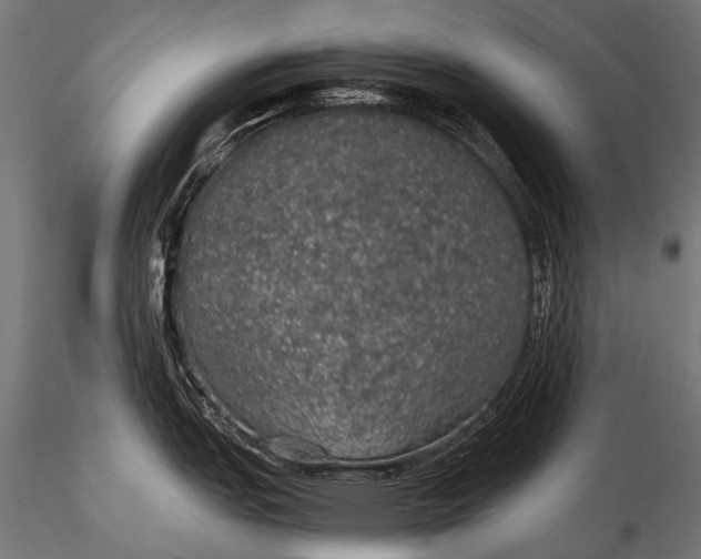 X0000116001151200912101311