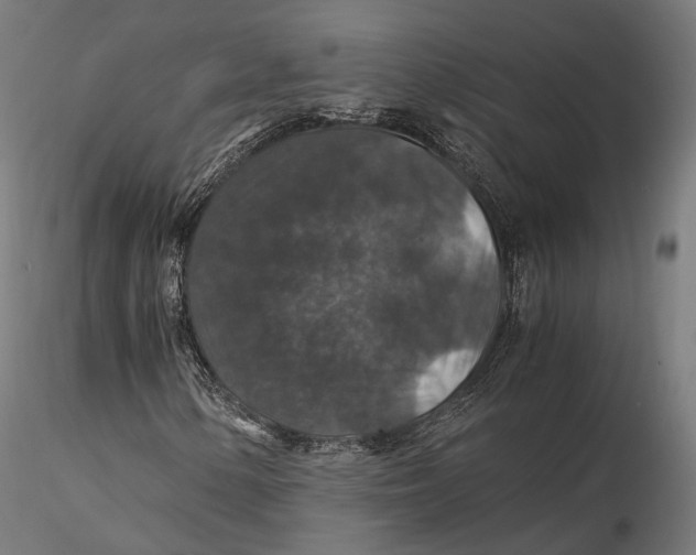 X0000116001154200912101310