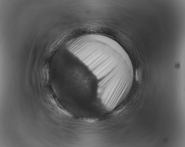 X0000116001155200912101310