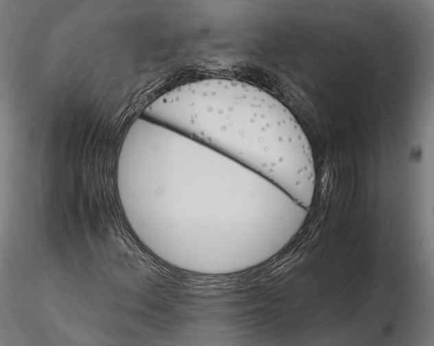 X0000116001156200912101310