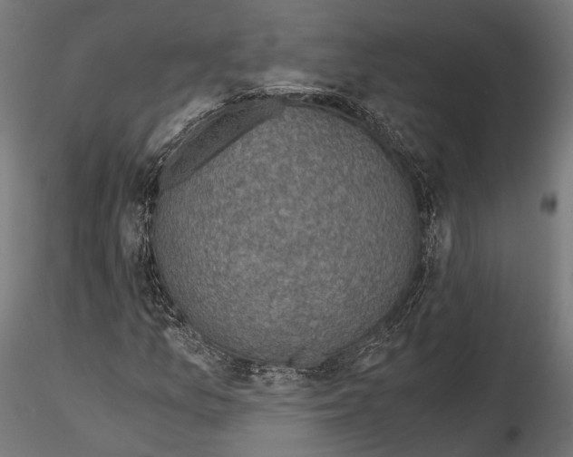 X0000116001157200912101310