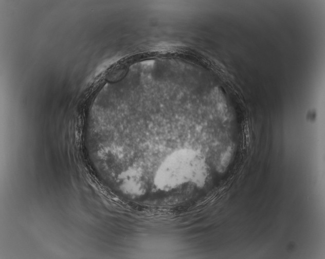 X0000116001158200912101310