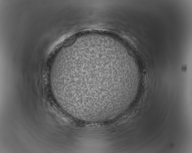 X0000116001159200912101310