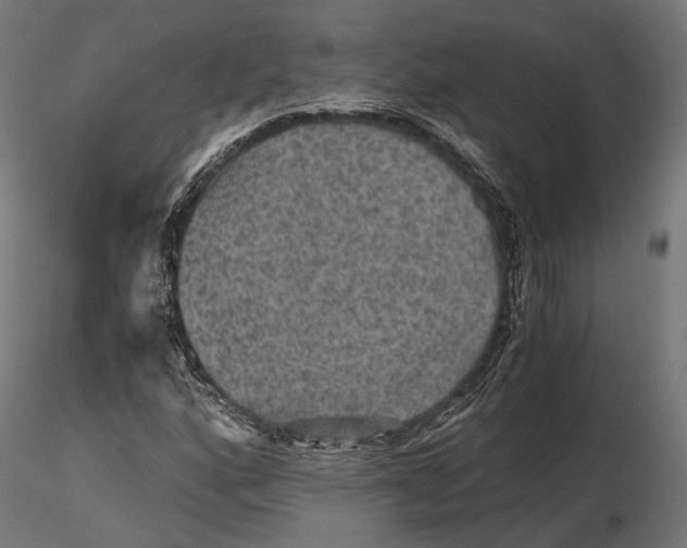 X0000116001160200912101310