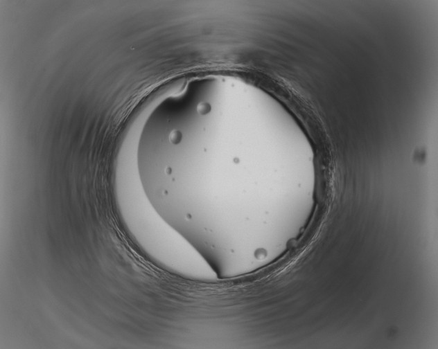 X0000116001161200912101310