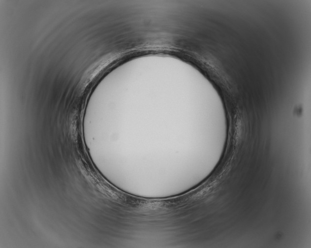 X0000116001162200912101310