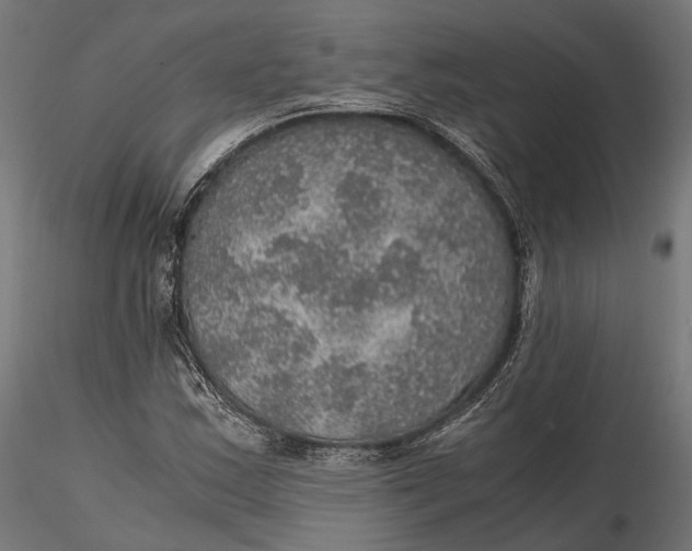 X0000116001163200912101310