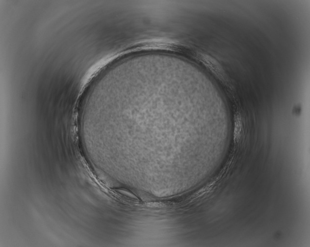 X0000116001164200912101310