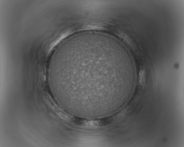 X0000116001165200912101310