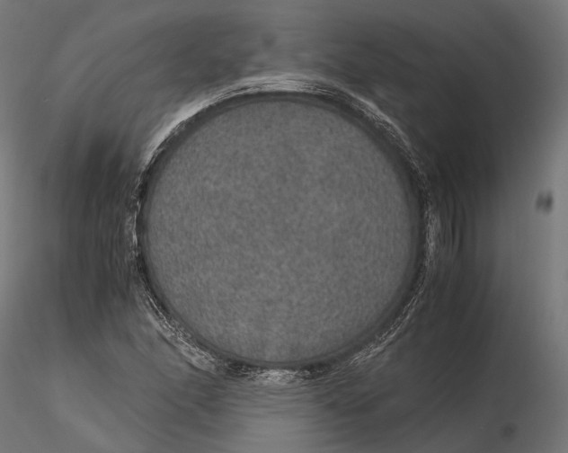 X0000116001166200912101310