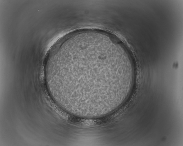 X0000116001167200912101310